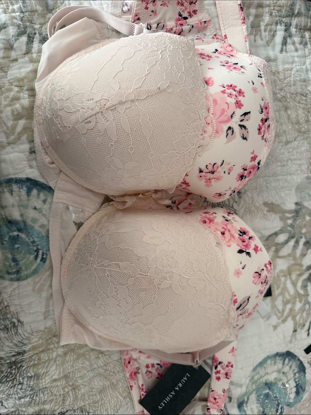Laura Ashley Cream and Pink Floral Lace Push-Up Bra